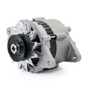 ELE-ALT-RID-VW-NEW-0026 #1