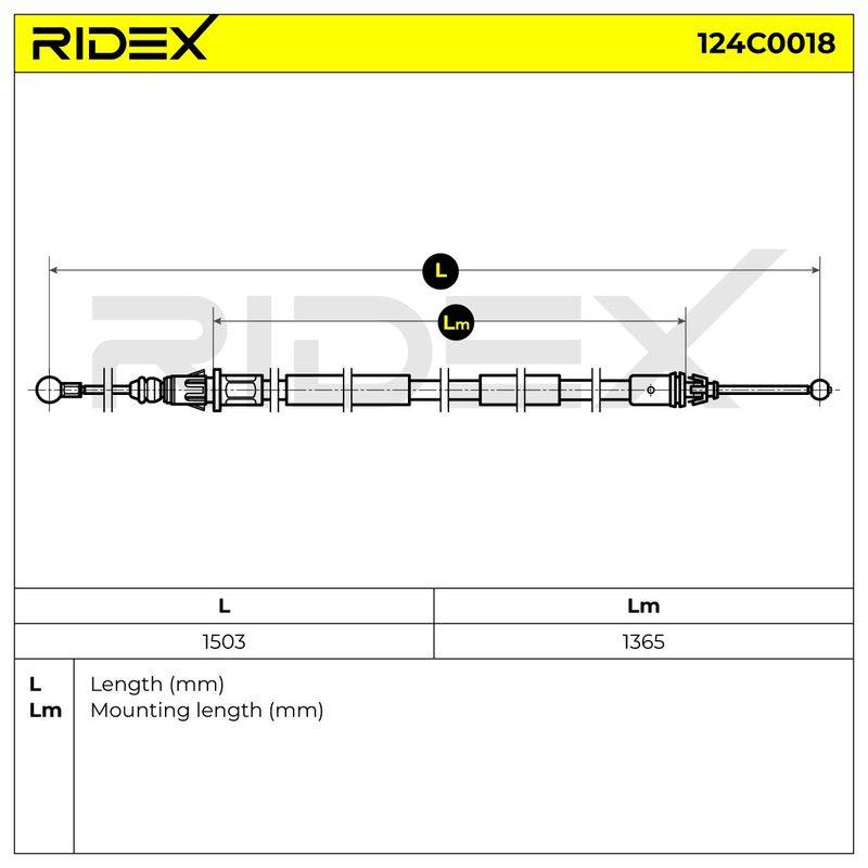 BRK-MSC-RID-VAU-NEW-0004 #4