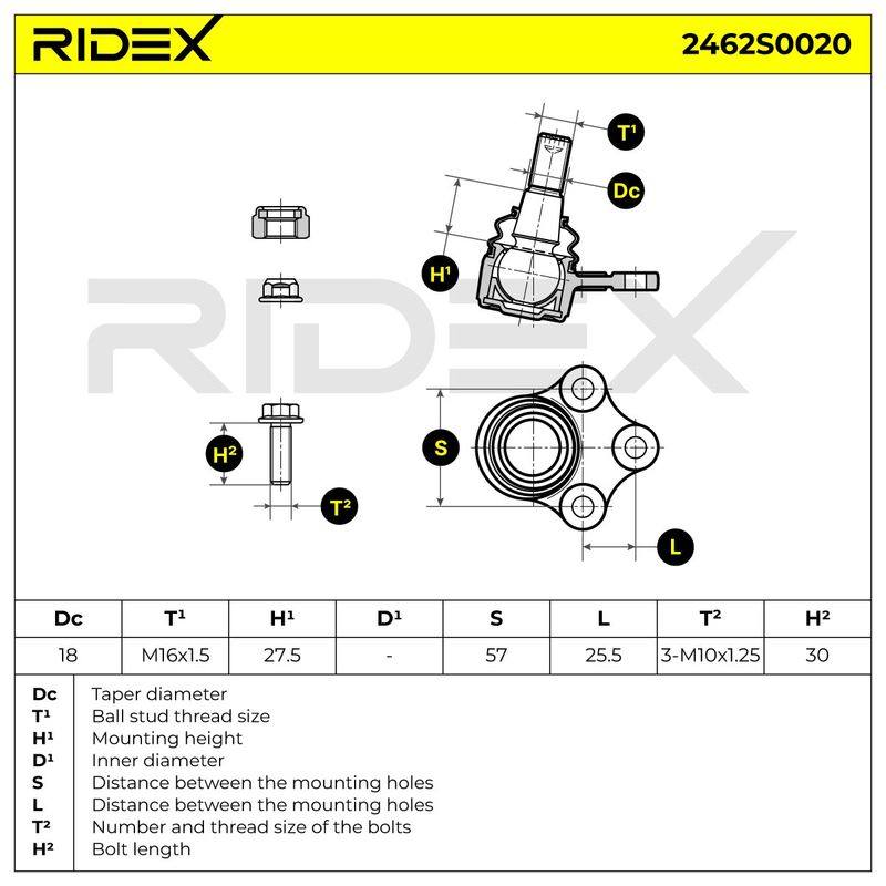 SUS-BJT-RID-REN-NEW-0041 #1