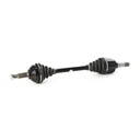 TRN-MSC-RID-VAU-NEW-0050 #1