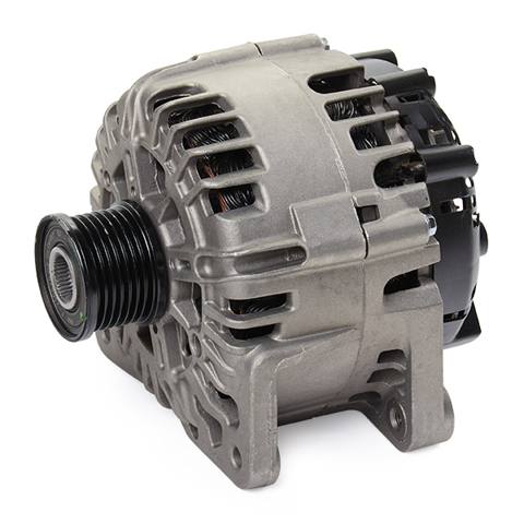 ELE-ALT-RID-REN-NEW-0103 #2