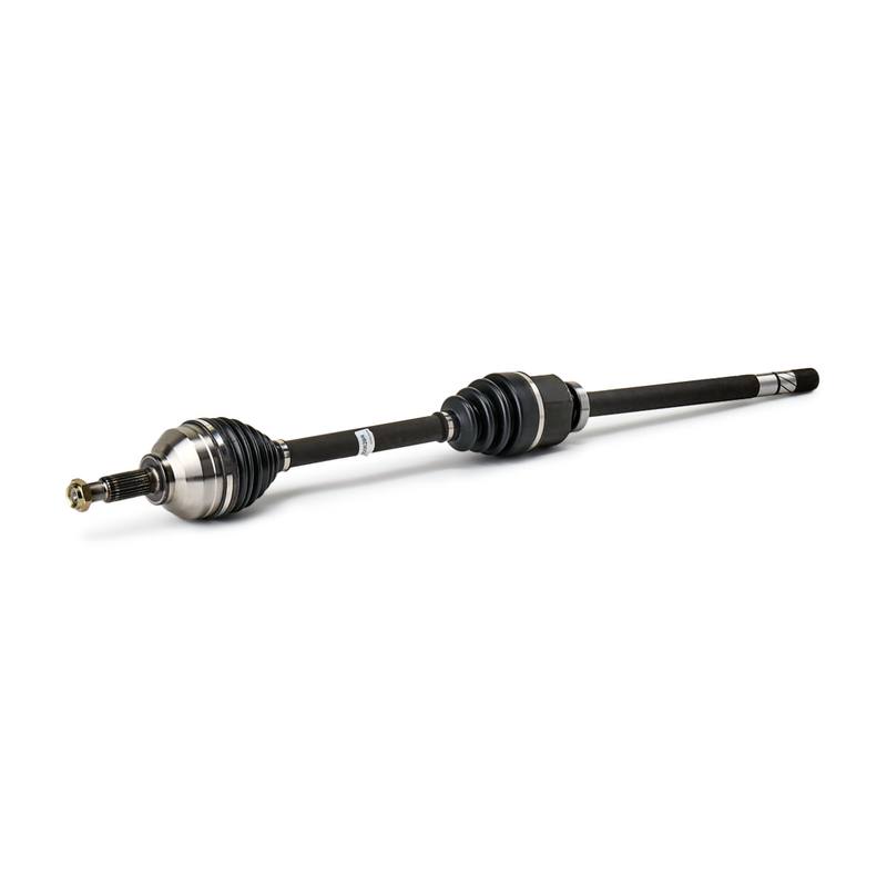 TRN-MSC-RID-REN-NEW-0381 #1