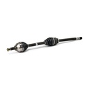TRN-MSC-RID-REN-NEW-0381 #1
