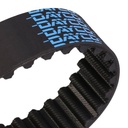 SUPP-6358-3096W0262 #3