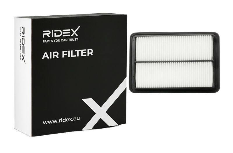 FIL-AIR-RID-REN-NEW-0073 #3