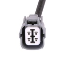 SUPP-6358-3922L0554P #1