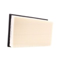 FIL-MSC-RID-REN-NEW-2098 #2