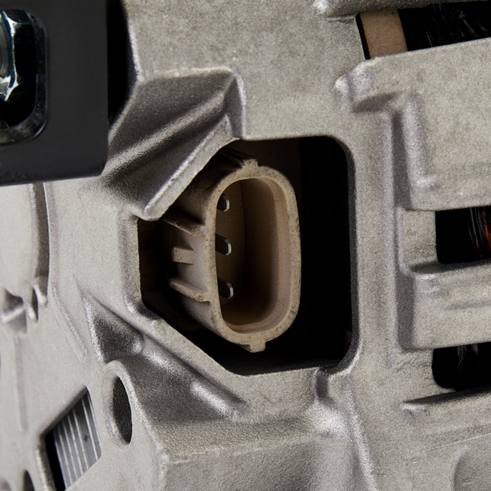 ELE-ALT-RID-REN-NEW-0009 #4