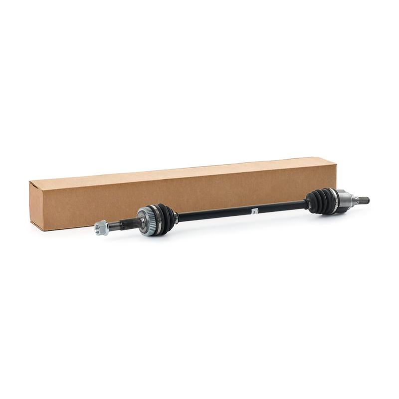 TRN-MSC-RID-REN-NEW-0250 #2