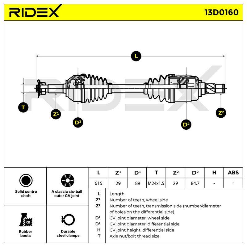 TRN-MSC-RID-REN-NEW-0242 #2