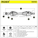 TRN-MSC-RID-REN-NEW-0242 #2