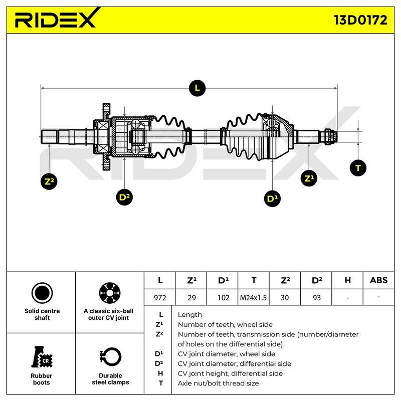 TRN-MSC-RID-REN-NEW-0246 #4