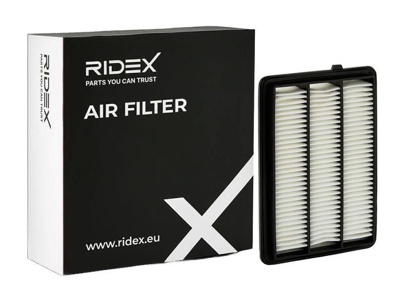 FIL-AIR-RID-REN-NEW-0055 #3