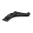 SUS-CAR-RID-REN-NEW-0124 #1