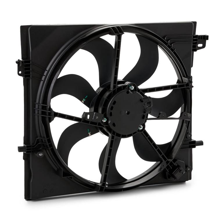 COO-CFA-RID-REN-NEW-0006 #3