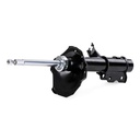 SUS-SHA-RID-LDV-NEW-0002 #1