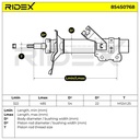 SUS-SHA-RID-LDV-NEW-0003 #2
