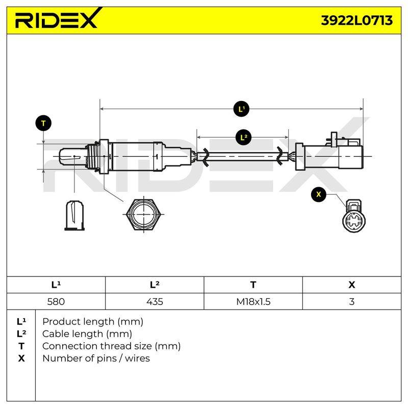 ELE-SEN-RID-CHR-NEW-0091 #2