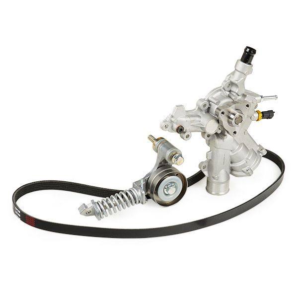 COO-WPU-RID-VAU-NEW-0011 #1