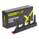 IGN-ICO-RID-VAU-NEW-0009 #4