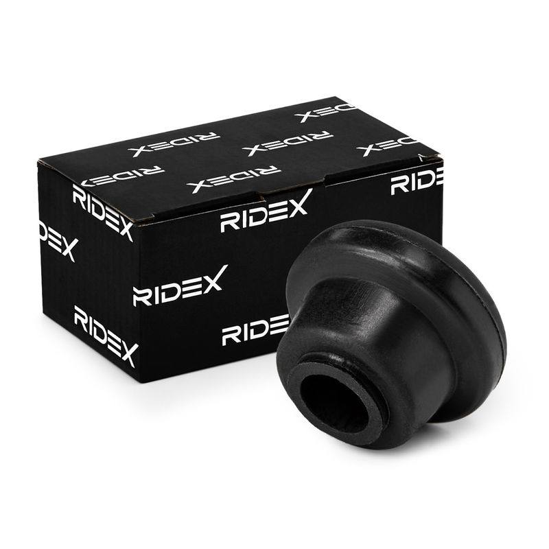 SUS-MSC-RID-SUZ-NEW-0010 #2
