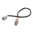 ELE-SEN-RID-SUZ-NEW-0066 #1