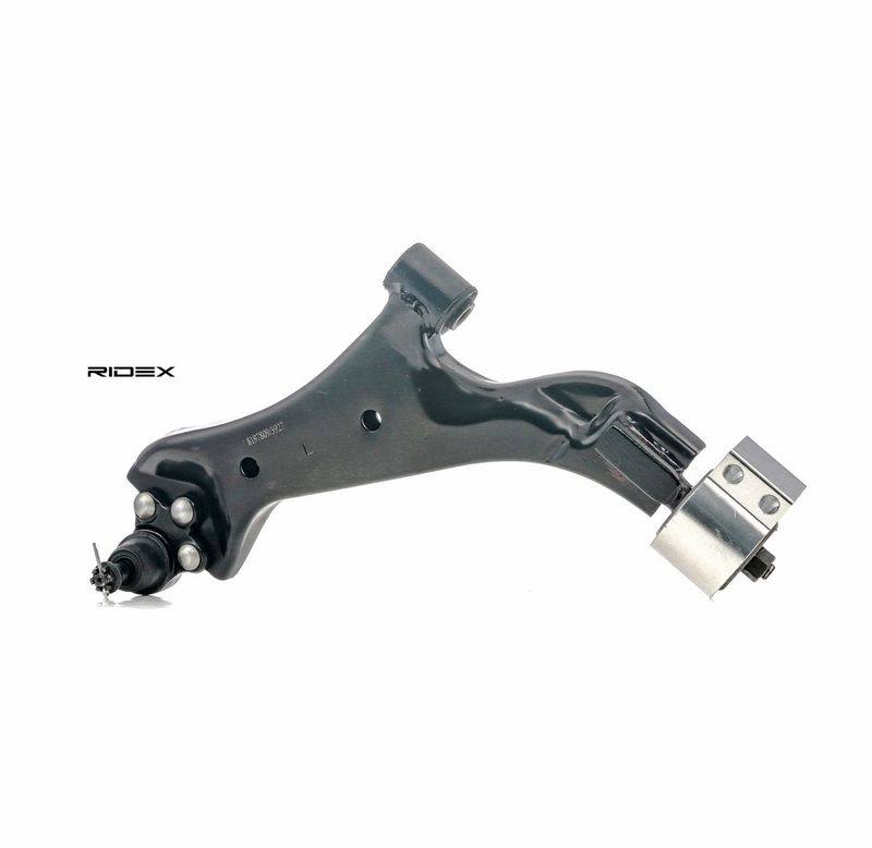 SUS-CAR-RID-CH2-NEW-0008 #2