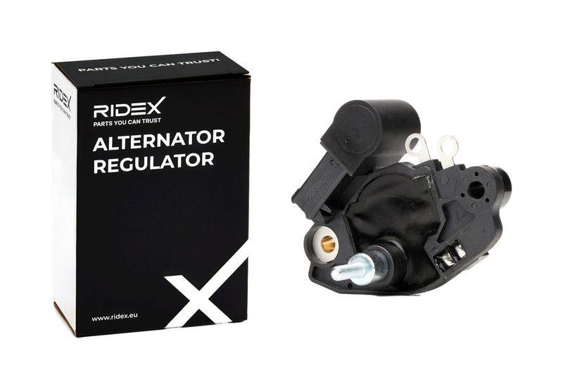 ELE-ALT-RID-BMW-NEW-0095 #2
