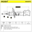SUS-SHA-RID-VAU-NEW-0009 #1