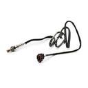 ELE-SEN-RID-FIA-NEW-0025 #1