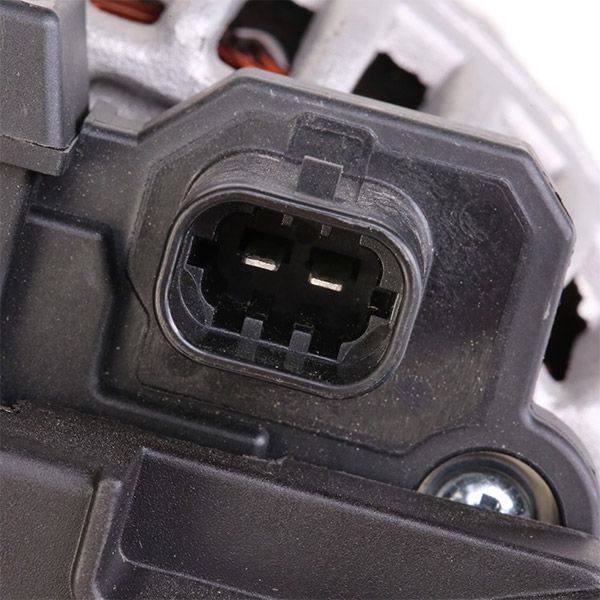 ELE-ALT-RID-VAU-NEW-0020 #2