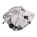 ELE-ALT-RID-VAU-NEW-0026 #1