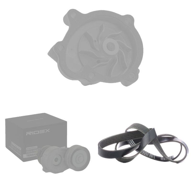 COO-WPU-RID-VAU-NEW-0006 #1