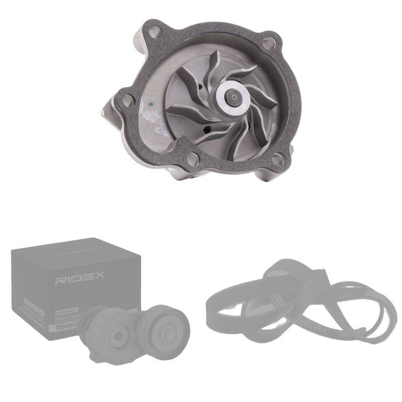 COO-WPU-RID-VAU-NEW-0006 #2