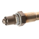 ELE-SEN-RID-FIA-NEW-0080 #2