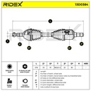 TRN-MSC-RID-VAU-NEW-0065 #2