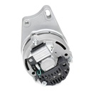 ELE-ALT-RID-LAN-NEW-0009 #2