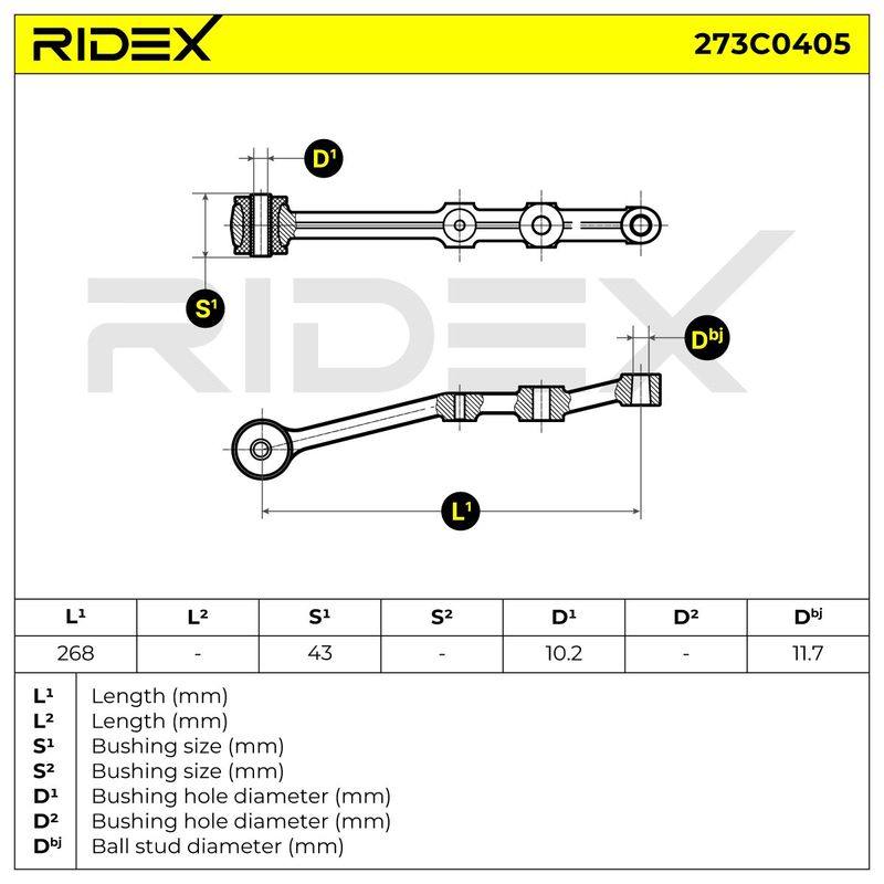 SUS-CAR-RID-LAN-NEW-0031 #3