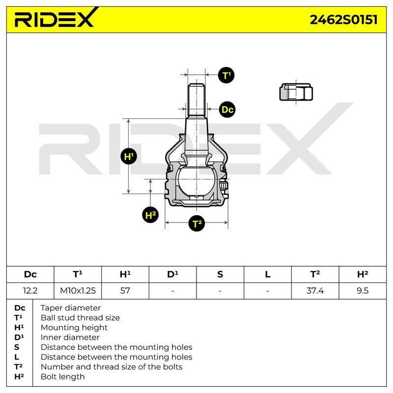 SUS-BJT-RID-LAN-NEW-0006 #3