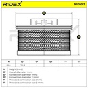 FIL-FUE-RID-PEU-NEW-0030 #4