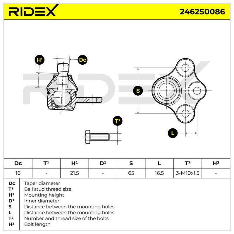 SUS-BJT-RID-VAU-NEW-0002 #2