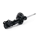 SUS-SHA-RID-KIA-NEW-0098 #1