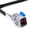 ELE-SEN-RID-KIA-NEW-0046 #4