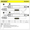 SUS-SHA-RID-VAU-NEW-0025 #1