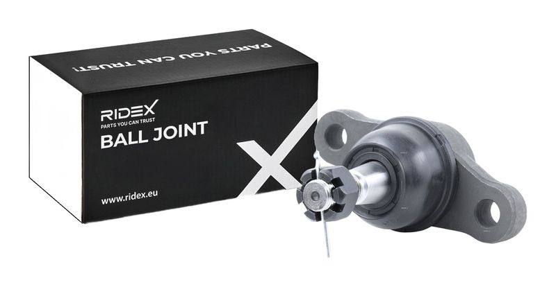 SUPP-6358-2462S0306 #2