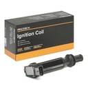 IGN-ICO-RID-PEU-NEW-0024 #2