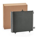 COO-MSC-RID-CIT-NEW-0010 #2