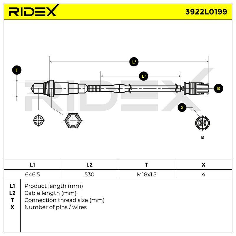 ELE-SEN-RID-BMW-NEW-0157 #4