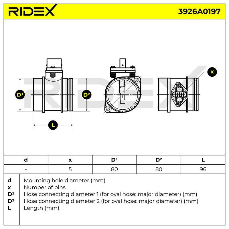 ELE-SEN-RID-BMW-NEW-0244 #4