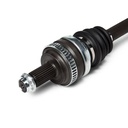 TRN-MSC-RID-BMW-NEW-0108 #3